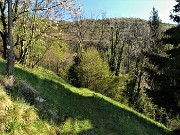 MONTE ZUCCO ad anello via linea tagliafuoco dalla Pernice (20apr21) - FOTOGALLERY